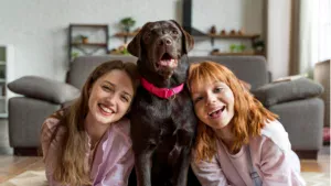 3 evcil hayvan sahiplenme