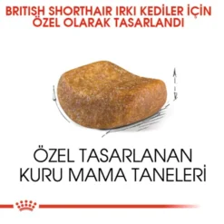 Royal Canin British Shorthair Adult Yetiskin Kedi Mamasi3 Royal Canin British Shorthair Adult Yetiskin Kedi Mamasi3