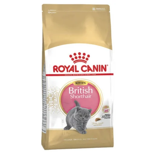 Royal Canin British Shorthair Kitten Yavru Kedi Maması0