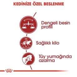Royal Canin Fit 32 Yetiskin Kedi Mamasi2 Royal Canin Fit 32 Yetiskin Kedi Mamasi2