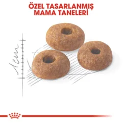 Royal Canin Fit 32 Yetiskin Kedi Mamasi3 Royal Canin Fit 32 Yetiskin Kedi Mamasi3
