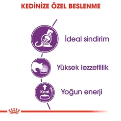 Royal Canin Sensible 33 Hassas Yetiskin Kedi Mamasi1 Royal Canin Sensible 33 Hassas Yetiskin Kedi Mamasi1