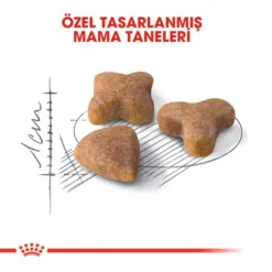 Royal Canin Sensible 33 Hassas Yetiskin Kedi Mamasi2 Royal Canin Sensible 33 Hassas Yetiskin Kedi Mamasi2