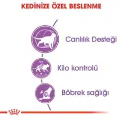 Royal Canin Sterilised Yetiskin Kisirlastirilmis Kedi Mamasi2 Royal Canin Sterilised Yetişkin Kısırlaştırılmış Kedi Maması2