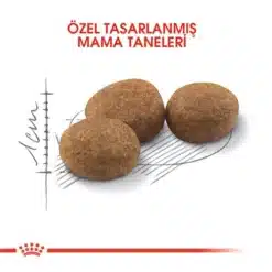 Royal Canin Sterilised Yetiskin Kisirlastirilmis Kedi Mamasi3 Royal Canin Sterilised Yetişkin Kısırlaştırılmış Kedi Maması3