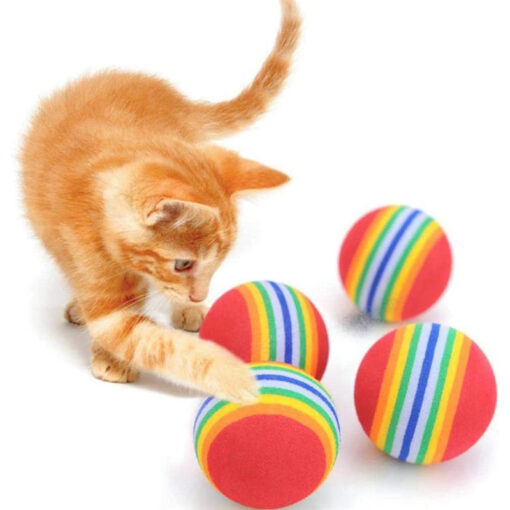 kedi-kopek-cigneme-topu-dortlu0