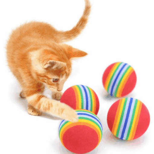 kedi-sungeri-dortlu-top0