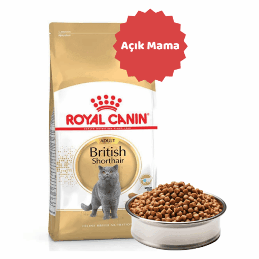 Royal Canin British Shorthair Adult Açık Yetişkin Kedi Maması0