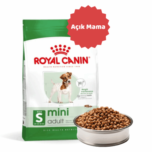 Royal Canin Mini Adult Küçük Irk Açık Yetişkin Köpek Maması