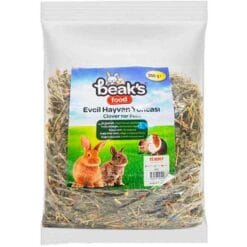 beaks evcil hayvan yoncasi